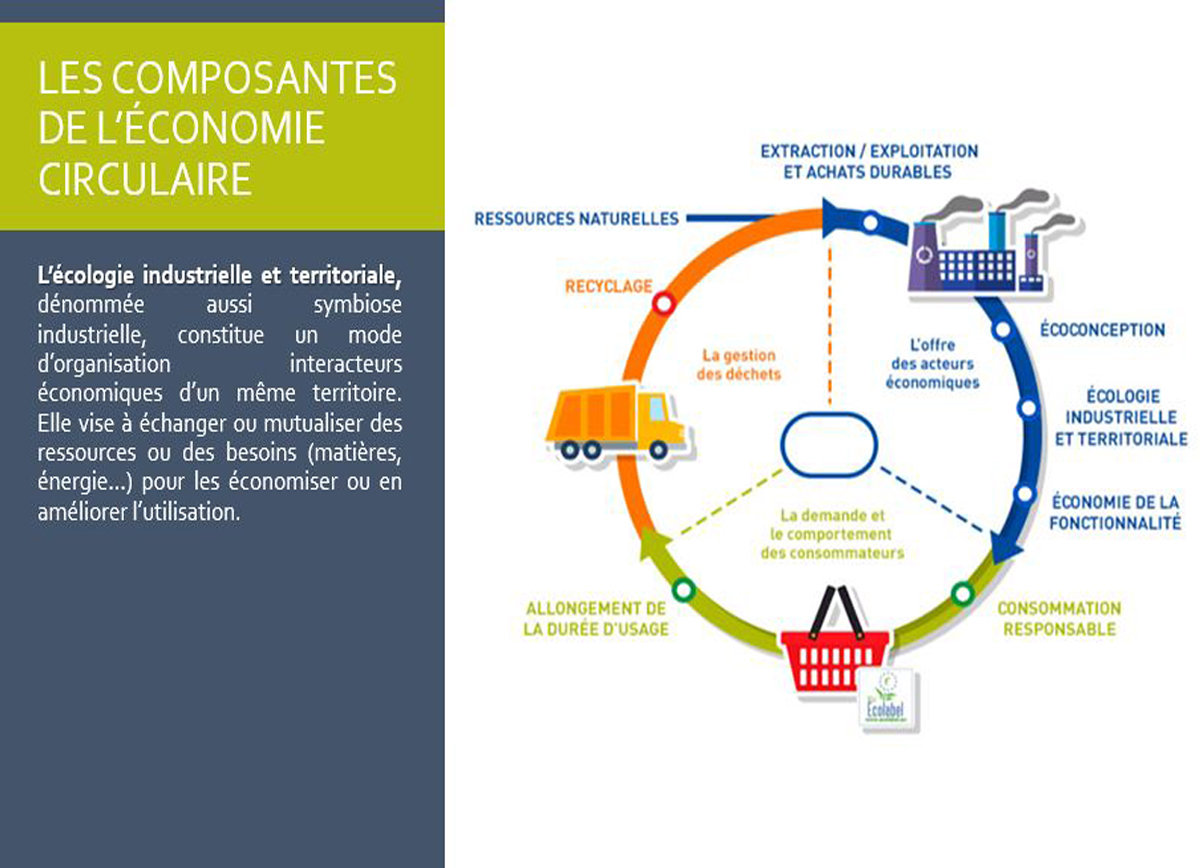 Territoires Demain sur les bancs de la fac